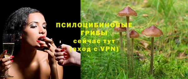 шишки Балабаново