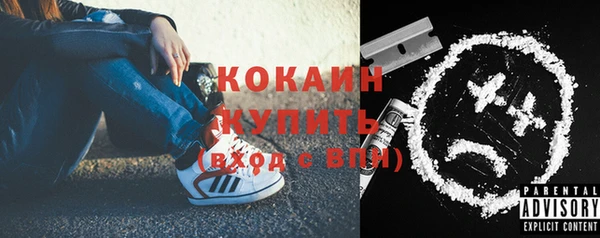 шишки Балабаново